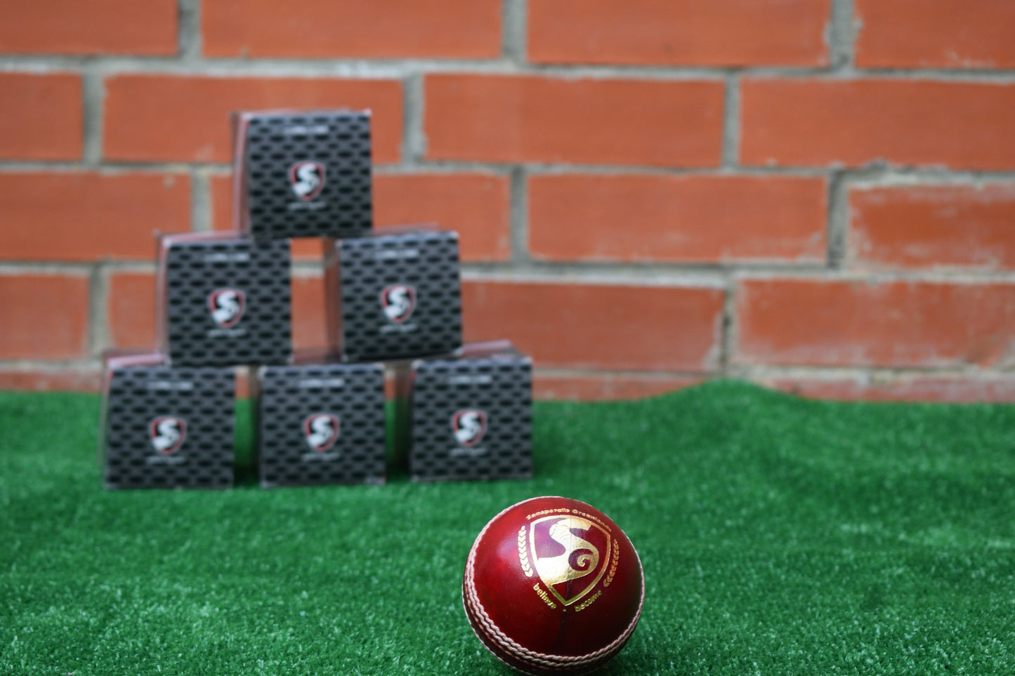 SG Club Cricket Ball - Red