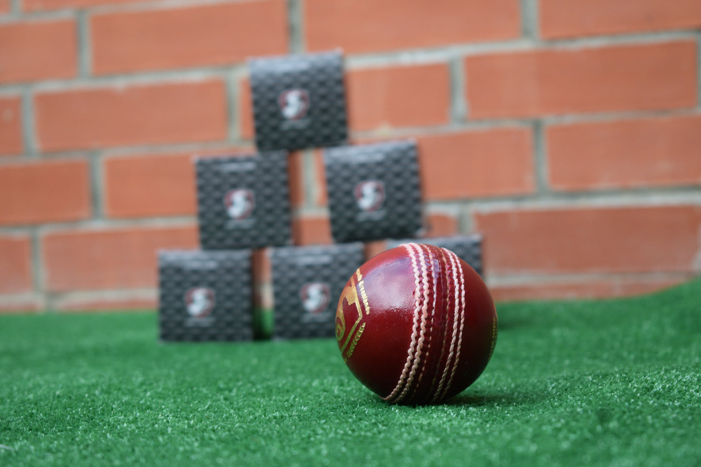SG Club Red Cricket Leather Ball (Pack of 6)