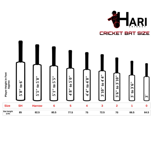 How to Choose the Right Cricket Bat Size (Complete UK Guide)