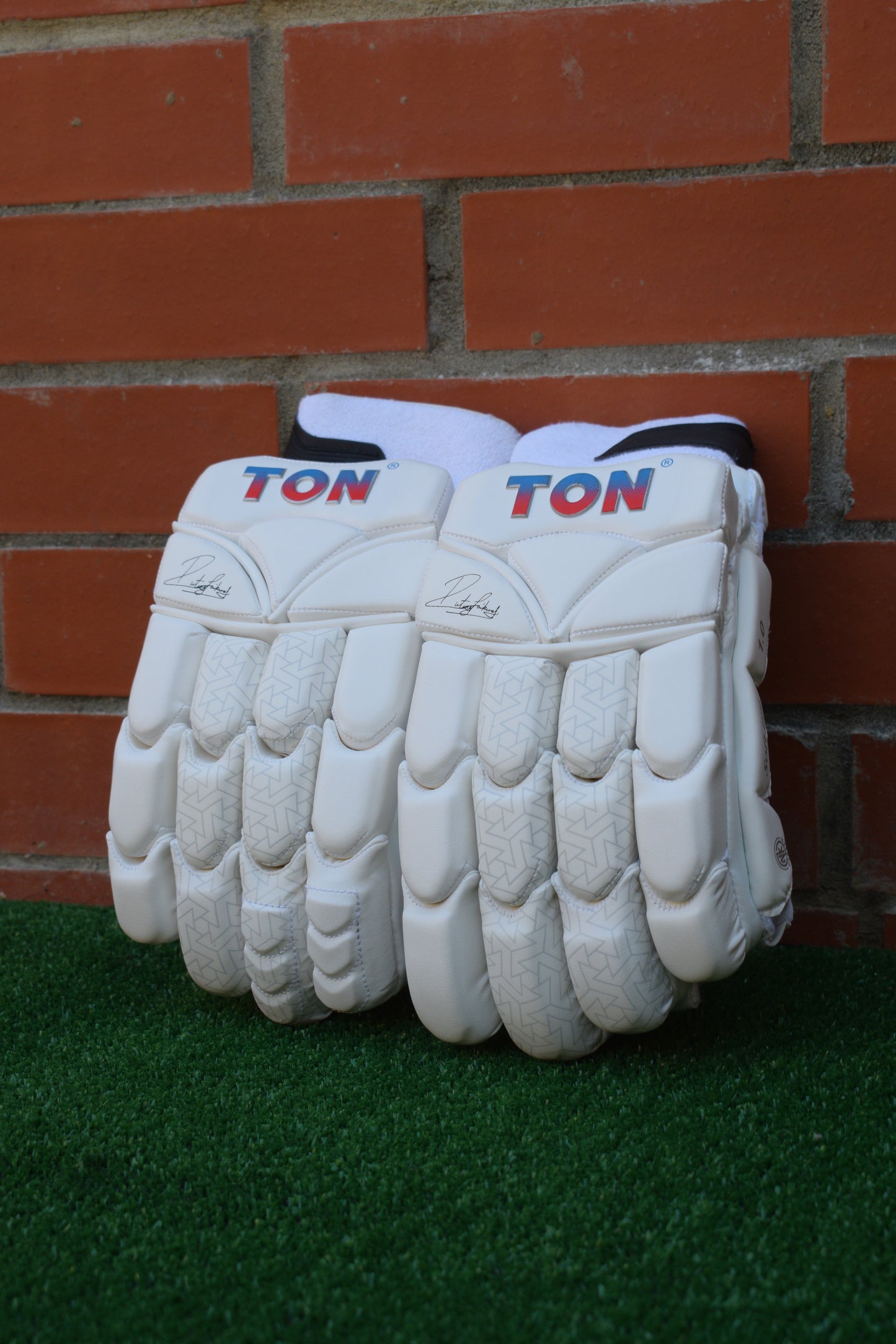 Ton Pro 1.0 Cricket Batting Gloves