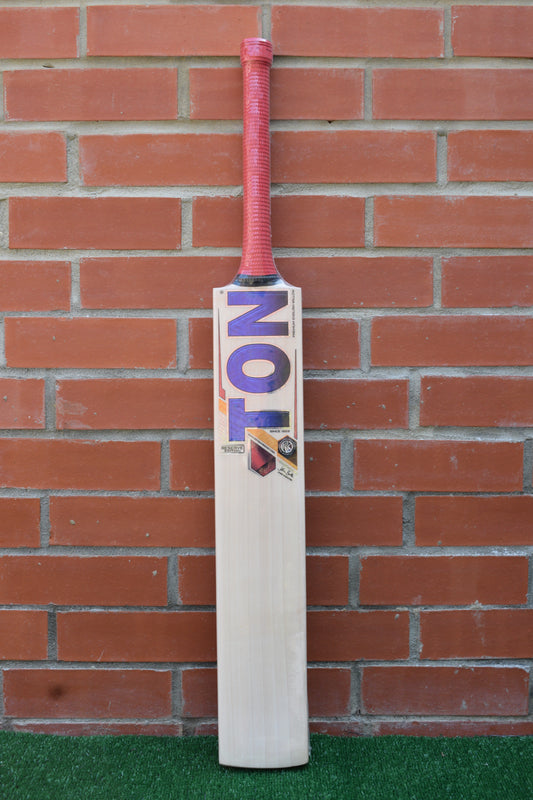 TON Reserve Edition English Willow Cricket Bat